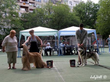 Прикачена снимка