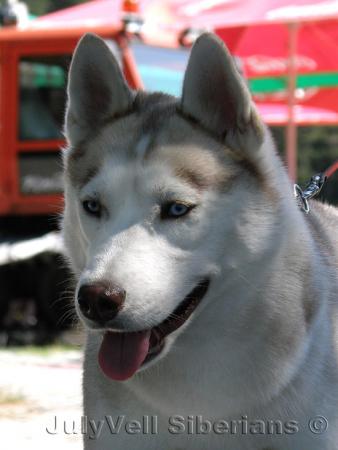 Прикачена снимка