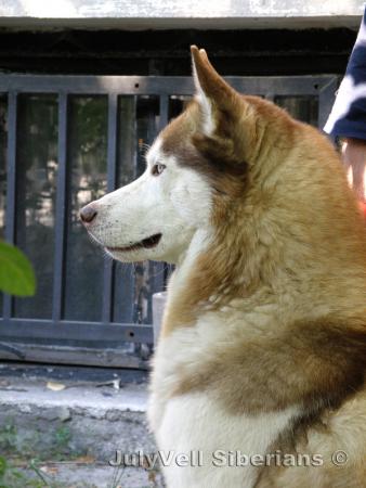 Прикачена снимка