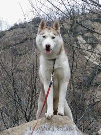 Прикачена снимка