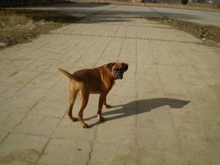 Прикачена снимка