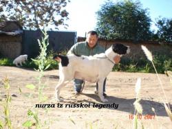 Прикачена снимка