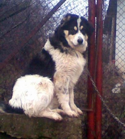 Прикачена снимка