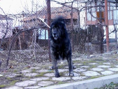 Прикачена снимка