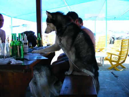 Прикачена снимка
