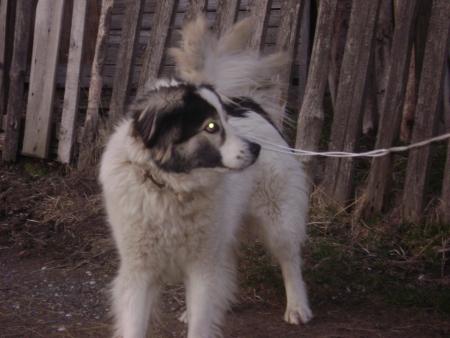 Прикачена снимка