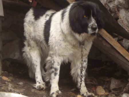 Прикачена снимка