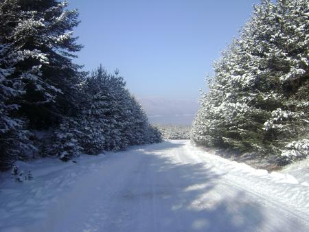 Прикачена снимка