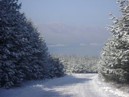 Прикачена снимка
