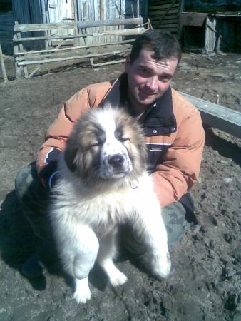 Прикачена снимка