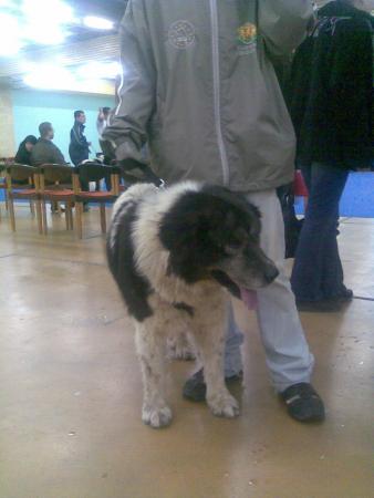 Прикачена снимка