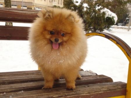 Прикачена снимка