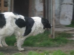 Прикачена снимка