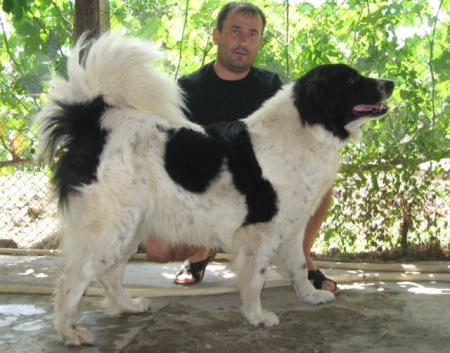 Прикачена снимка