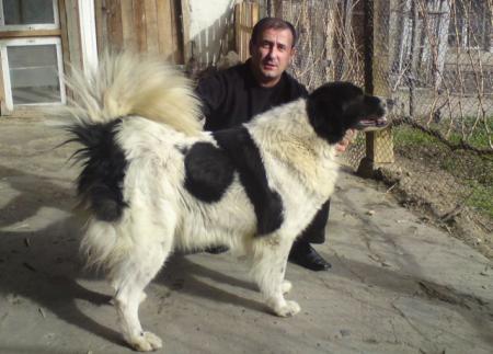 Прикачена снимка