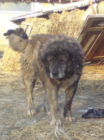 Прикачена снимка