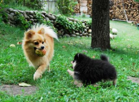 Прикачена снимка