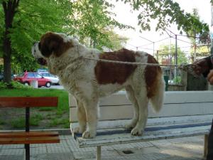 Прикачена снимка