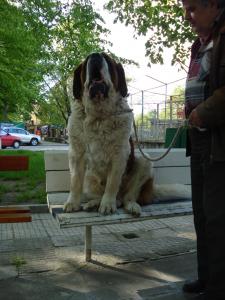Прикачена снимка
