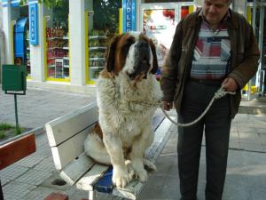 Прикачена снимка