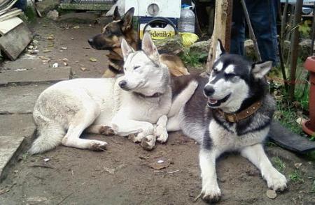 Прикачена снимка