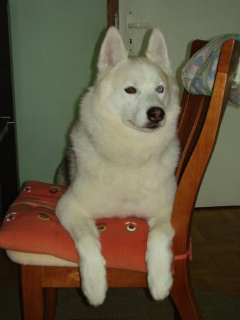 Прикачена снимка