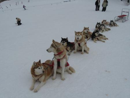 Прикачена снимка