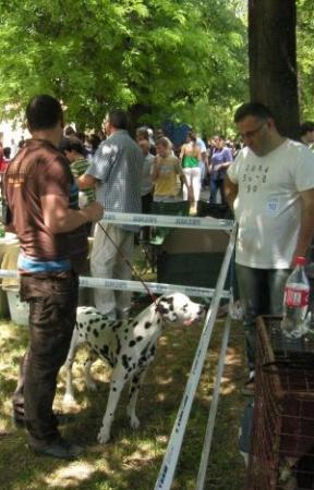Прикачена снимка
