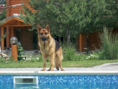 Прикачена снимка