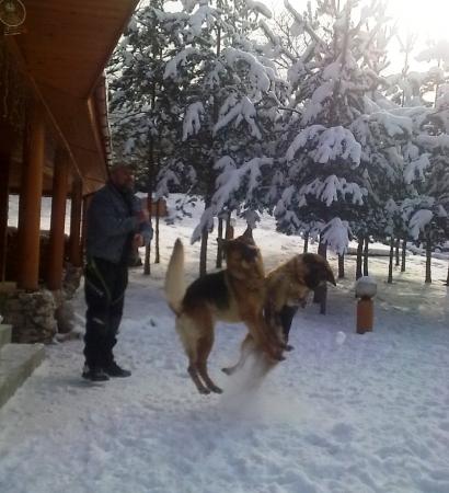 Прикачена снимка