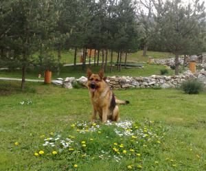 Прикачена снимка