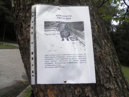 Прикачена снимка