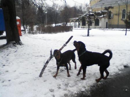 Прикачена снимка