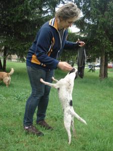 Прикачена снимка