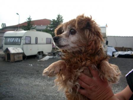 Прикачена снимка