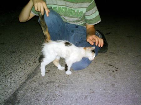 Прикачена снимка