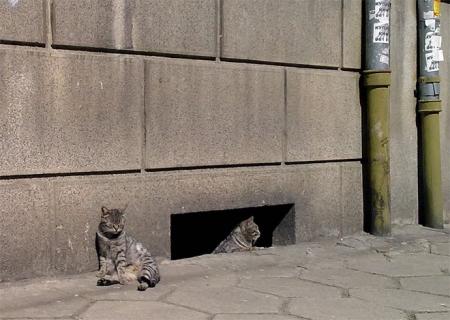 Прикачена снимка