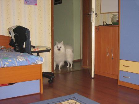 Прикачена снимка