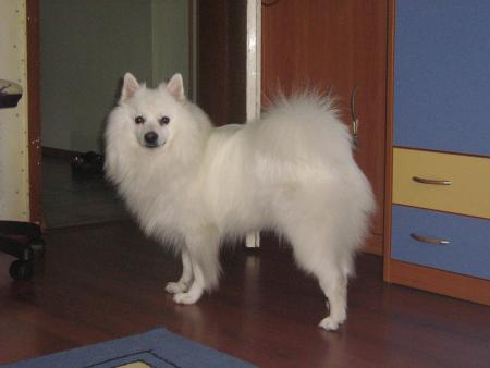 Прикачена снимка