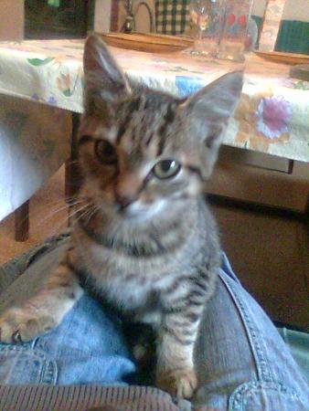 Прикачена снимка