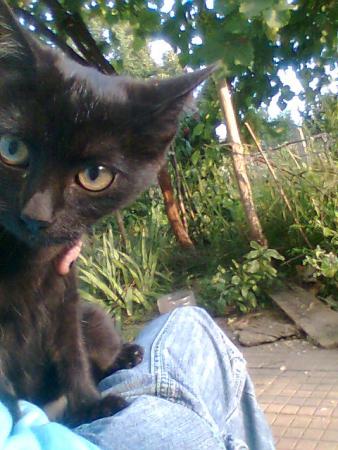 Прикачена снимка