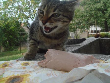 Прикачена снимка