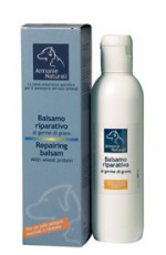 Прикачена снимка