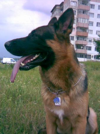 Прикачена снимка
