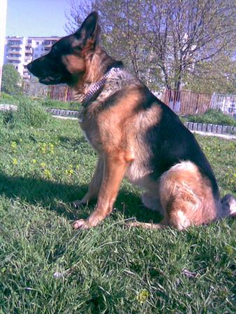 Прикачена снимка