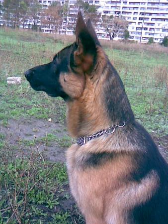 Прикачена снимка