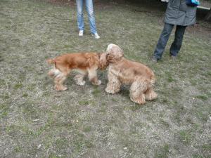 Прикачена снимка
