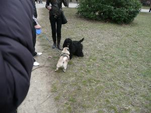 Прикачена снимка
