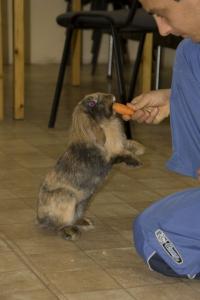 Прикачена снимка