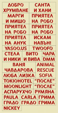 Прикачена снимка